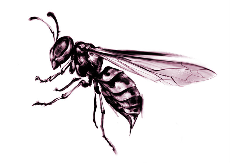 dessins, croquis, rough, sketch